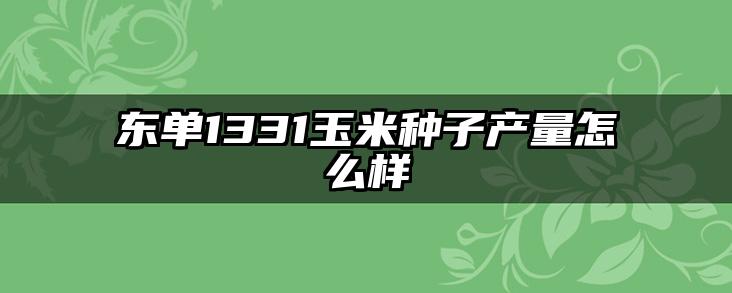 东单1331玉米种子产量怎么样