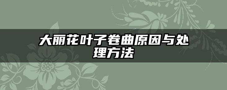大丽花叶子卷曲原因与处理方法
