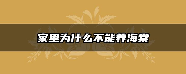 家里为什么不能养海棠