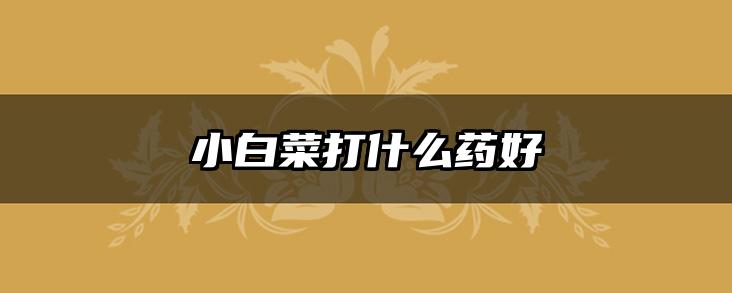 小白菜打什么药好