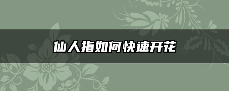 仙人指如何快速开花