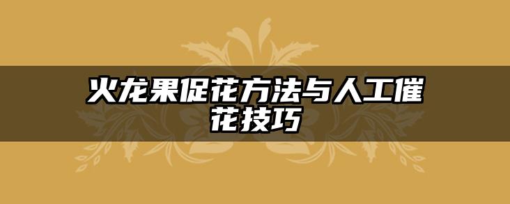 火龙果促花方法与人工催花技巧
