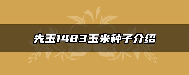 先玉1483玉米种子介绍
