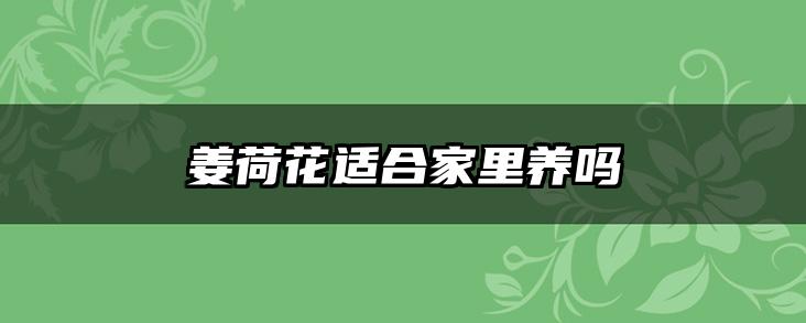 姜荷花适合家里养吗