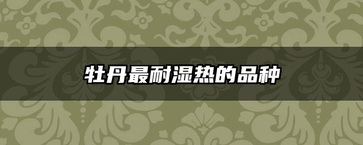 牡丹最耐湿热的品种