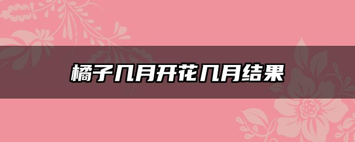 橘子几月开花几月结果