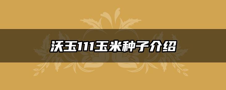沃玉111玉米种子介绍