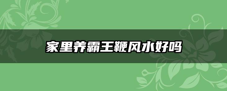 家里养霸王鞭风水好吗
