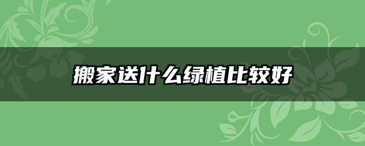 搬家送什么绿植比较好