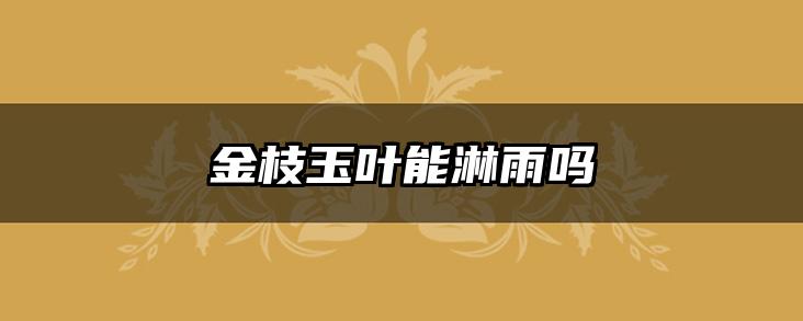 金枝玉叶能淋雨吗