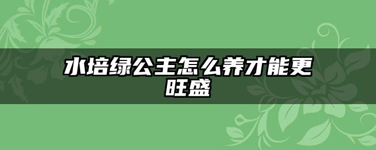 水培绿公主怎么养才能更旺盛