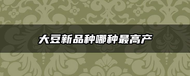 大豆新品种哪种最高产