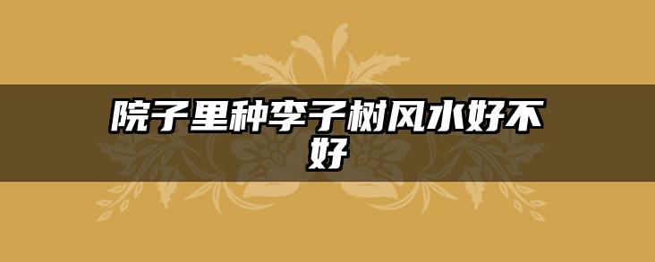 院子里种李子树风水好不好