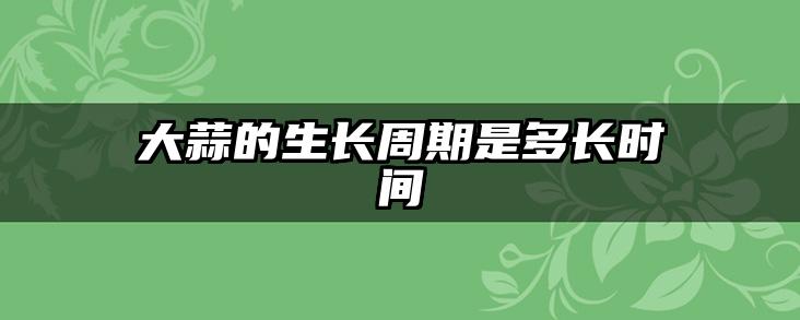 大蒜的生长周期是多长时间