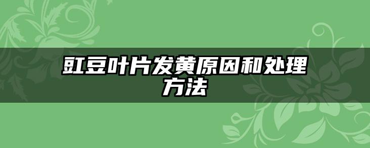 豇豆叶片发黄原因和处理方法