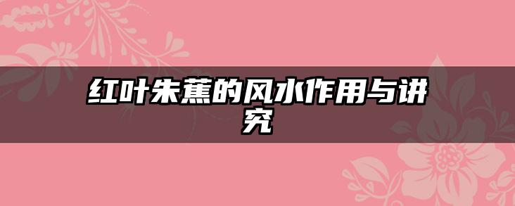 红叶朱蕉的风水作用与讲究