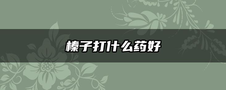 榛子打什么药好