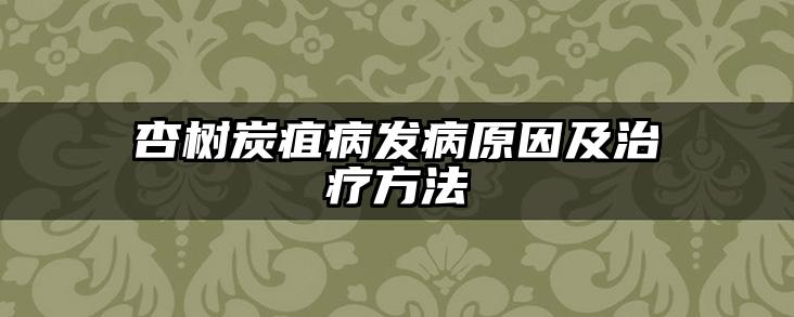 杏树炭疽病发病原因及治疗方法