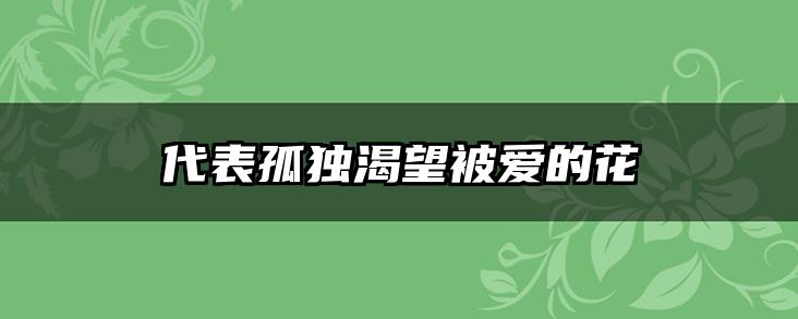 代表孤独渴望被爱的花