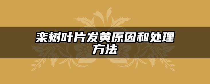 栾树叶片发黄原因和处理方法