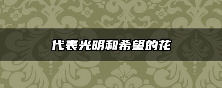 代表光明和希望的花