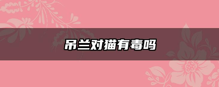 吊兰对猫有毒吗