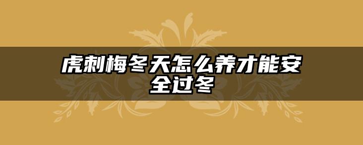 虎刺梅冬天怎么养才能安全过冬