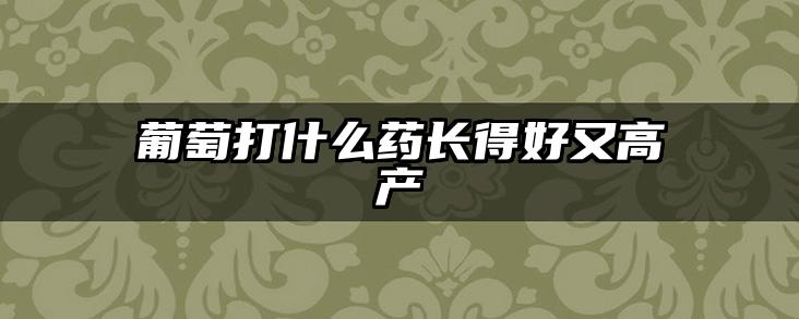 葡萄打什么药长得好又高产