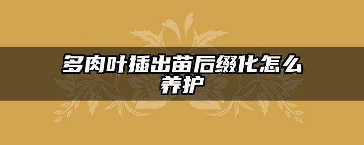 多肉叶插出苗后缀化怎么养护