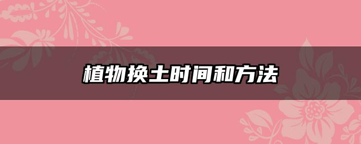 植物换土时间和方法