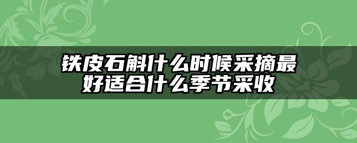 铁皮石斛什么时候采摘最好适合什么季节采收