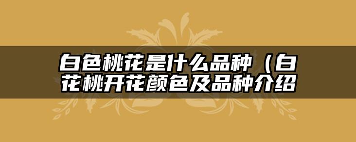白色桃花是什么品种(白花桃开花颜色及品种介绍