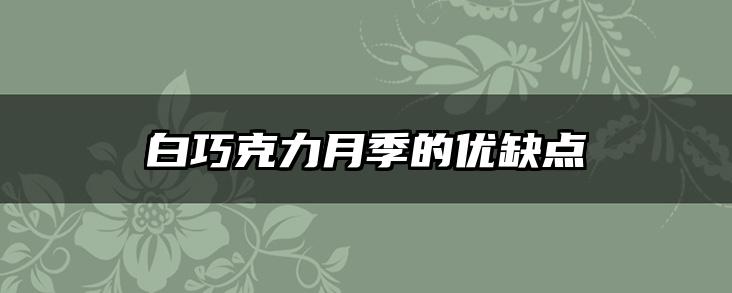 白巧克力月季的优缺点
