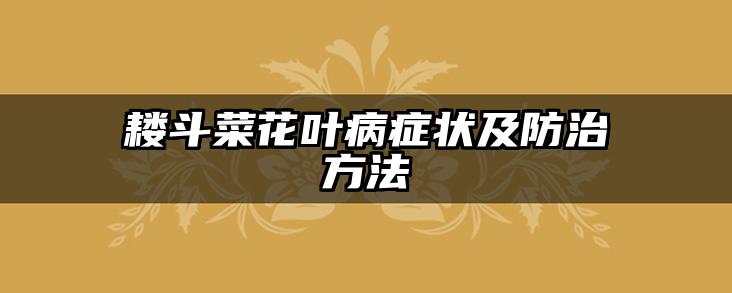 耧斗菜花叶病症状及防治方法