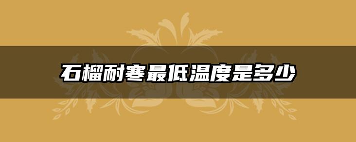石榴耐寒最低温度是多少