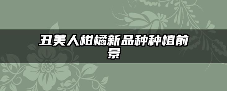 丑美人柑橘新品种种植前景