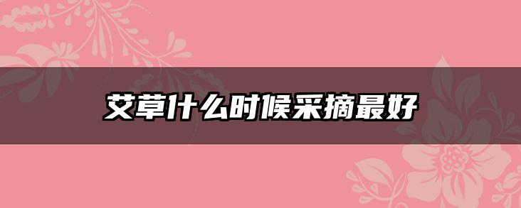 艾草什么时候采摘最好