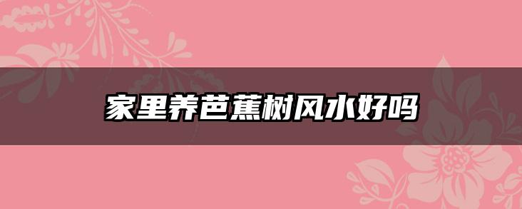 家里养芭蕉树风水好吗
