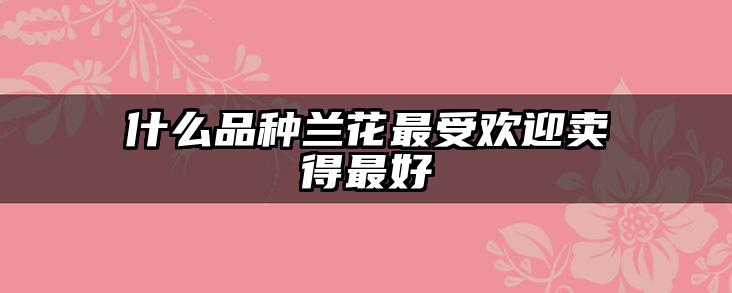 什么品种兰花最受欢迎卖得最好
