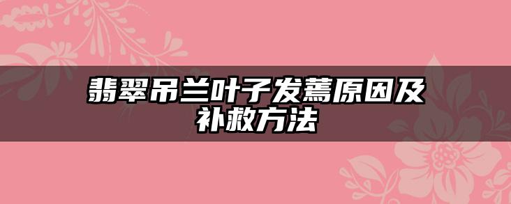 翡翠吊兰叶子发蔫原因及补救方法