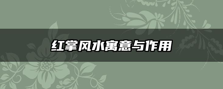 红掌风水寓意与作用