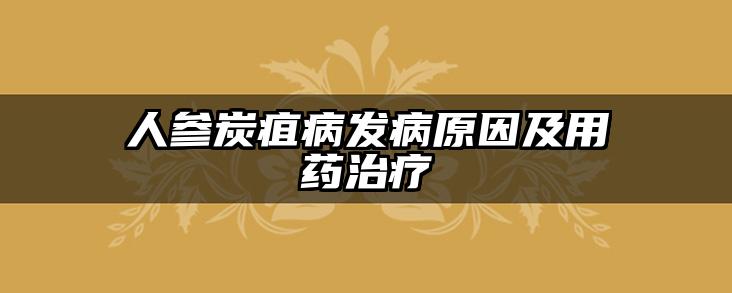 人参炭疽病发病原因及用药治疗