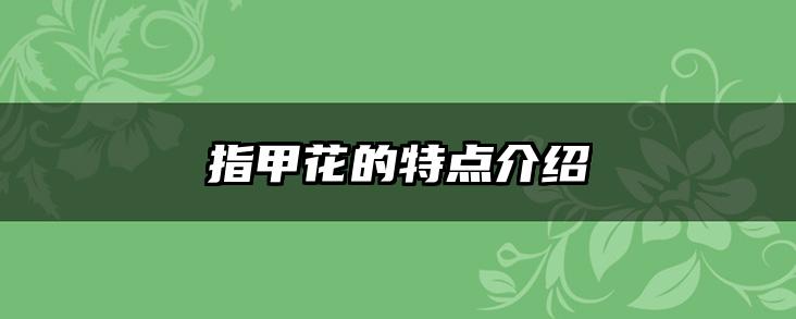 指甲花的特点介绍