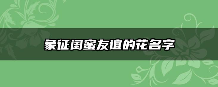 象征闺蜜友谊的花名字