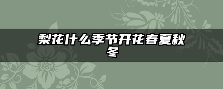 梨花什么季节开花春夏秋冬