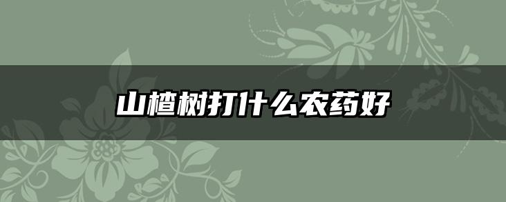 山楂树打什么农药好