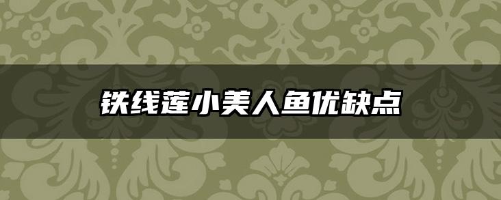 铁线莲小美人鱼优缺点
