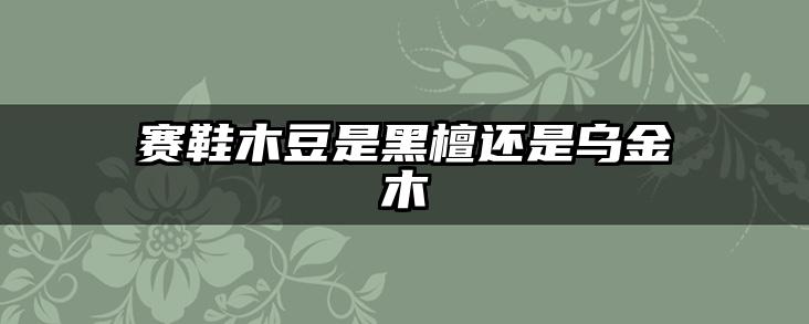 赛鞋木豆是黑檀还是乌金木