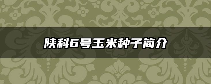 陕科6号玉米种子简介