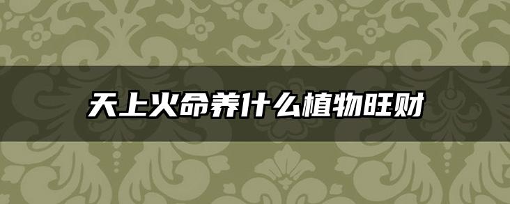 天上火命养什么植物旺财